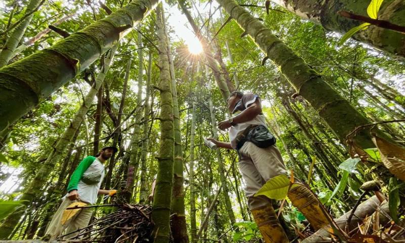 El taller fue organizado por la Dirección Distrital de Napo del MAG / Foto: cortesía MAG