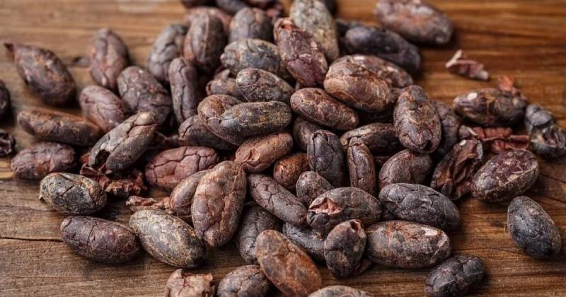 La tonelada de cacao para entrega en marzo cerró el 20 de febrero en $ 10.250 / Foto: cortesía 