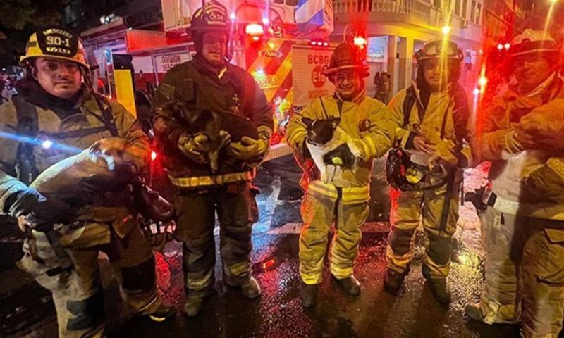 Ocurrió en el cuarto piso en un edificio del centro de la ciudad/ Foto: cortesía Municipio de Guayaquil