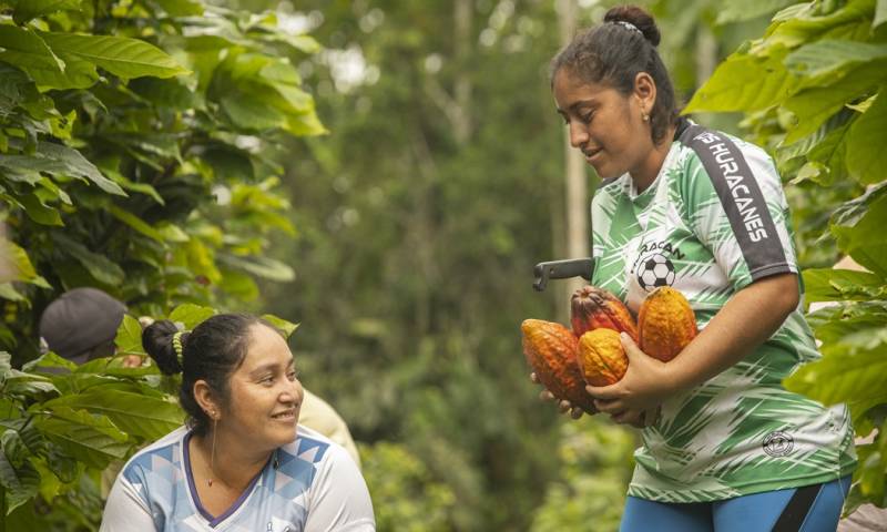 A Italia y Bélgica llegaron los primeros envíos de café y cacao de plantaciones de Ecuador que no han sido previamente deforestadas / Foto: EFE