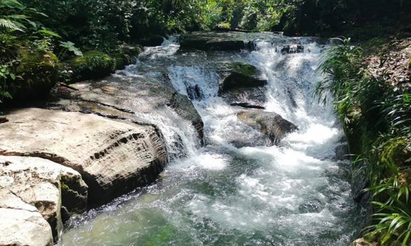 Ofrece una experiencia única para quienes buscan relajarse y disfrutar de la naturaleza / Foto: cortesía