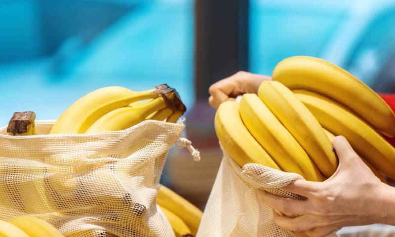 La producción de banano orgánico se distingue por el uso de insumos de origen natural / Foto: Ministerio de Producción 