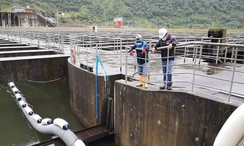 Principales noticias de Ecuador hoy - 10 de julio de 2024 / Foto: cortesía