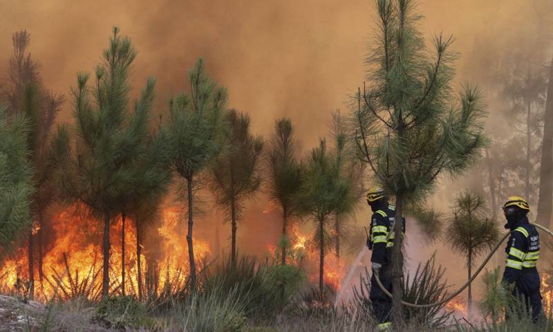 Las condiciones cálidas, secas e inflamables aumentaron hasta 70 días al año / Foto: EFE