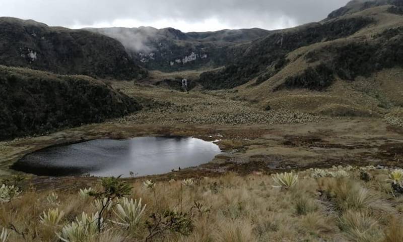 La Bonita Cofanes-Chingual destaca por su biodiversidad / Foto: cortesía Área De Conservación Municipal La Bonita Cofanes Chingual 