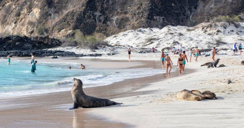 El 55 % de los turistas llegados a las Islas Galápagos fueron extranjeros (154.489) / Foto: cortesía Parque Nacional Galápagos