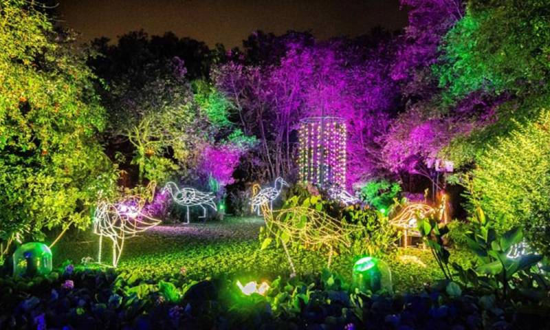 El ‘Bosque de Luz’ se ilumina gracias a un sistema de luces LED/ Foto: cortesía Municipio de Quito