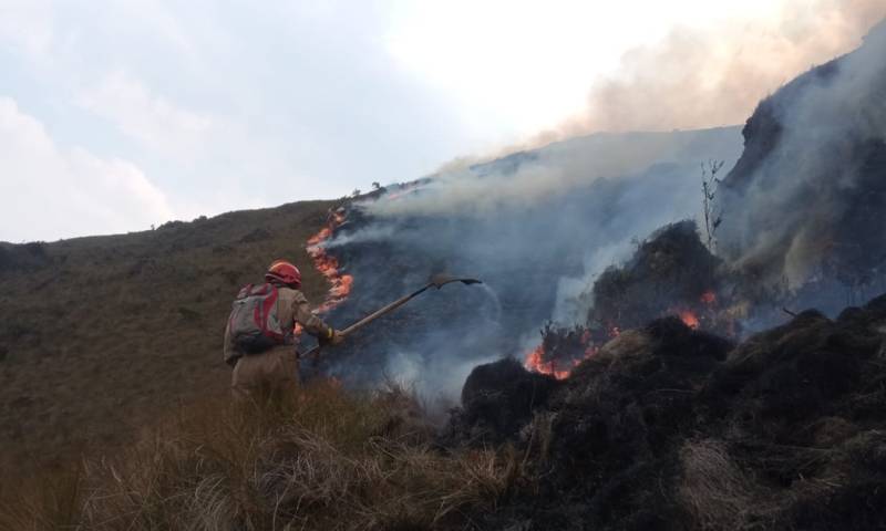 El Municipio de Cuenca declaró que la calidad del aire era considerada dañina por efecto del incendio en El Cajas / Foto: cortesía Ministerio de Ambiente