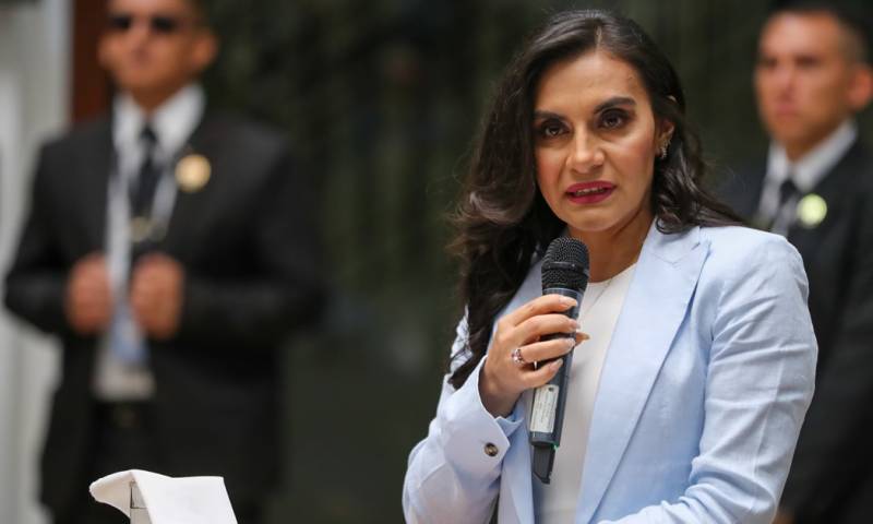 Verónica Abad a pidió este miércoles a la Asamblea Nacional que frene la actitud de hostigamiento político en su contra / Foto: EFE