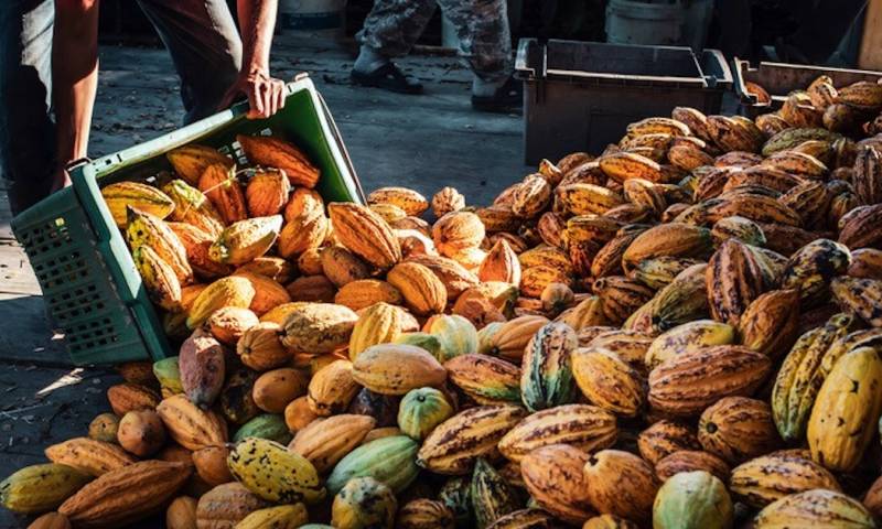 Durante estos tres días los agricultores compartirán sus conocimientos / Foto: cortesía 