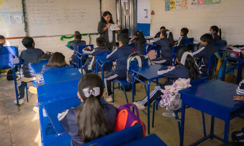 Los docentes utilizarán recursos académicos y guías pedagógicas para garantizar la continuidad educativa / Foto: cortesía Primicias