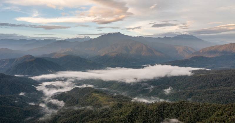 También advierte que experiencias previas han demostrado que estas obras pueden fragmentar los ecosistemas / Foto: cortesía WWF