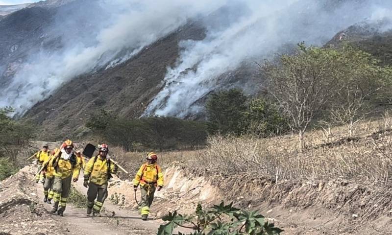 La zona está caracterizada por pajonales andinos, matorrales y arbustos secos / Foto: cortesía Secretaría de Riesgos 