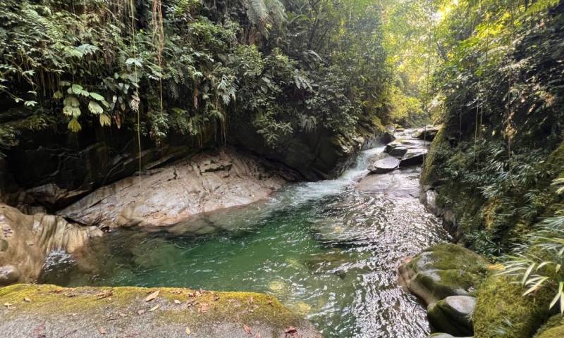 La recarga subterránea es un proceso en donde el agua se filtra al suelo y llena los acuíferos / Foto: IIGE