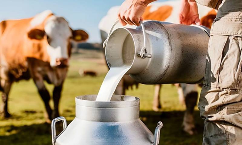 5 provincias representan más del 60 % de la producción total de leche / Foto: cortesía MAG