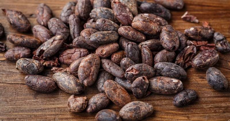 El cacao tuvo una leve disminución del 0.35 % en comparación con el día anterior / Foto: Pixabay