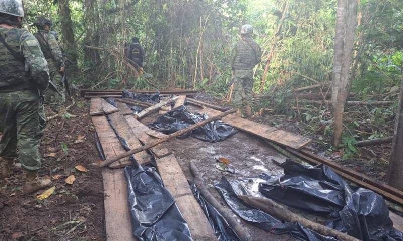 El crecimiento de los cultivos de hoja de coca coincide con el fortalecimiento de grupos criminales / Foto: cortesía FF.AA.