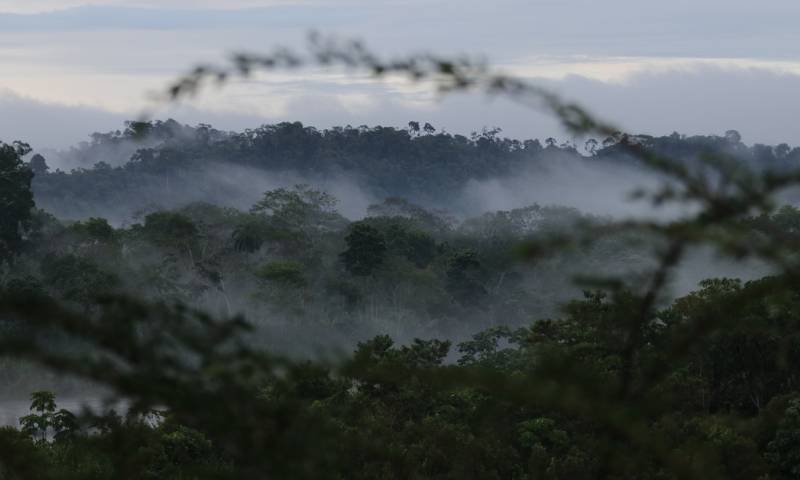 Beneficiará a las 6 provincias de El Oriente/ Foto: El Oriente