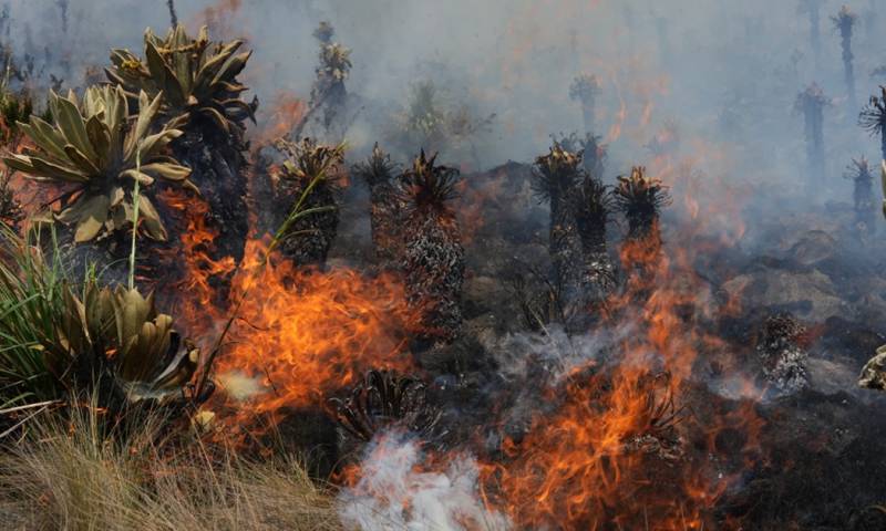 Tras el incendio se han visto afectadas en su totalidad dos viviendas y una granja avícola / Foto: EFE