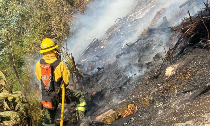 En julio de 2023, se ha informado sobre nueve emergencias vinculadas con incendios forestales / Foto: cortesía Bomberos Quito