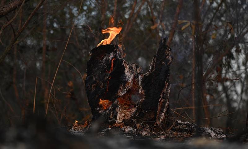 Uno de los incendios se mantiene activo en el distrito de San José Alto / Foto: EFE