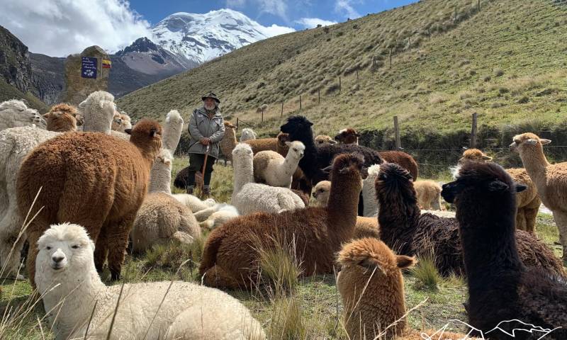 Principales noticias de Ecuador hoy - 8 de julio de 2024 / Foto: cortesía