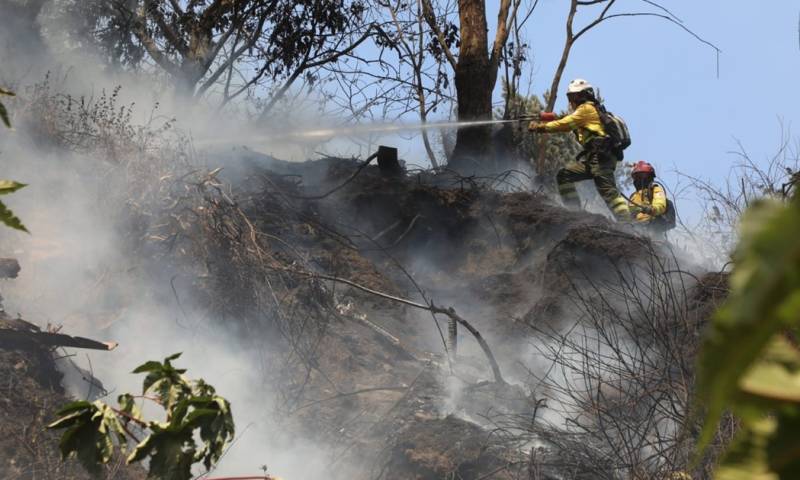 De acuerdo a las autoridades, tres viviendas quedaron completamente destruidas y otras cinco afectadas / Foto: cortesía Bomberos Quito