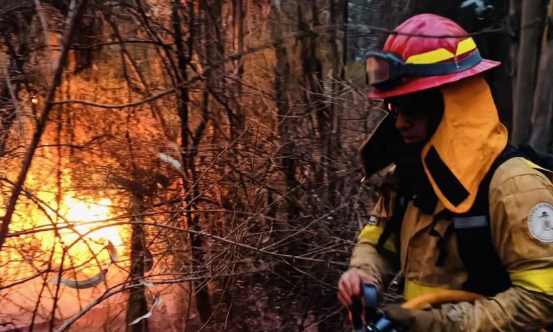 Los incendios están afectando a varios sectores de Quito / Foto: cortesía Esteban Cárdenas