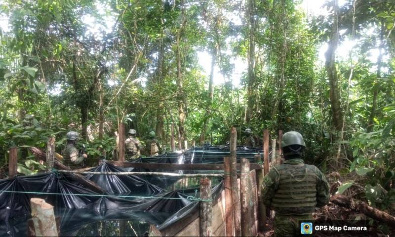 La situación es especialmente crítica en Sucumbíos, donde el narcotráfico ha incrementado sus actividades / Foto: cortesía Ejército 