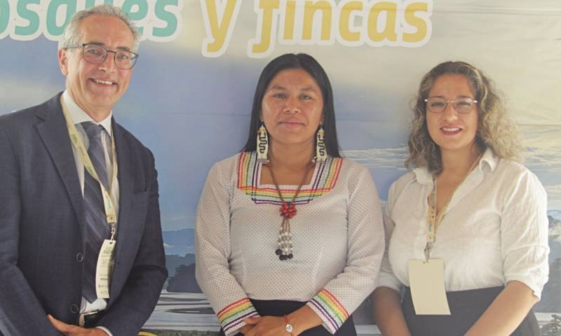 Es parte de la Iniciativa Mecanismo para Bosques y Fincas (FFF) / Foto: cortesía FAO Ecuador