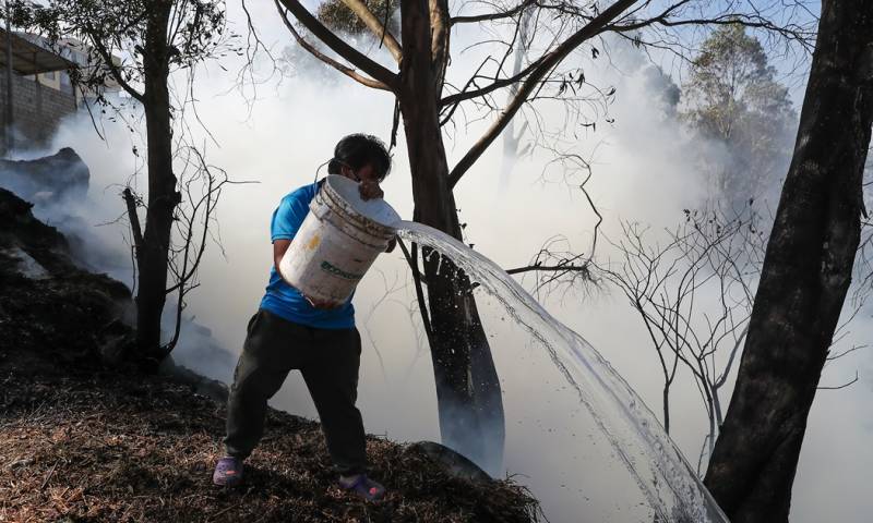  La cobertura vegetal quemada hasta el momento totaliza 29.812,07 hectáreas / Foto: EFE