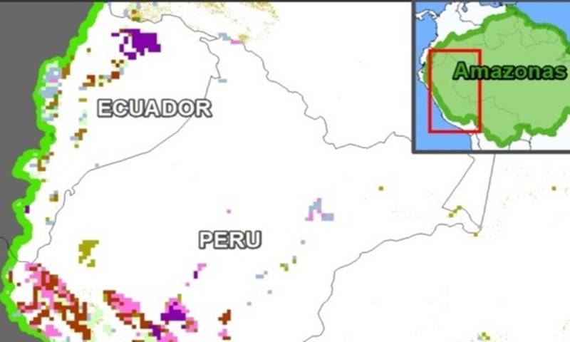 La conversión de la selva en tierras de cultivo y pastizales ha sido una de las principales causas de la deforestación / Imagen: MAAP