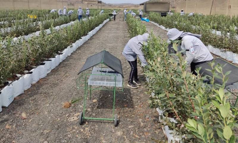 El acuerdo comercial fue suscrito en mayo de 2023 / Foto: cortesía MAG