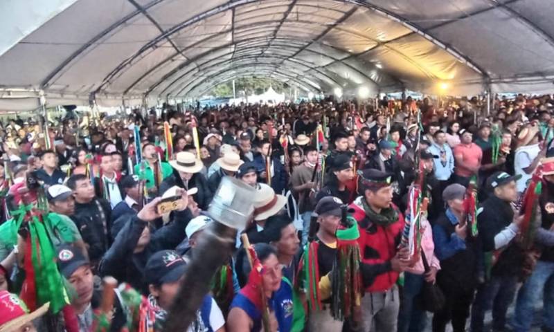 La semana pasada varios autobuses llegaron a Bogotá desde el departamento del Cauca / Foto: cortesía 