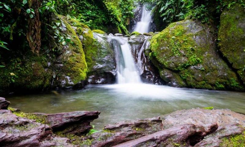 Mindo es uno de los lugares más visitados durante los feriados y las vacaciones / Foto: cortesía 