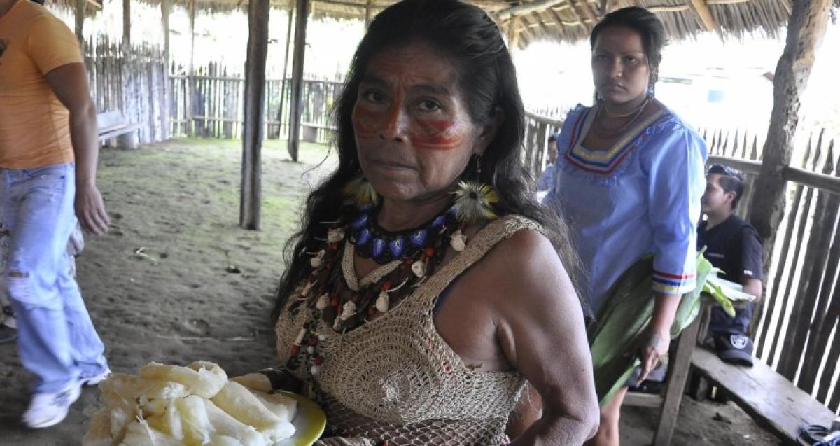 Las Mujeres Shuar Y Kichwas Ofrecen Su Gastronomía Ancestral En El Puyo ...