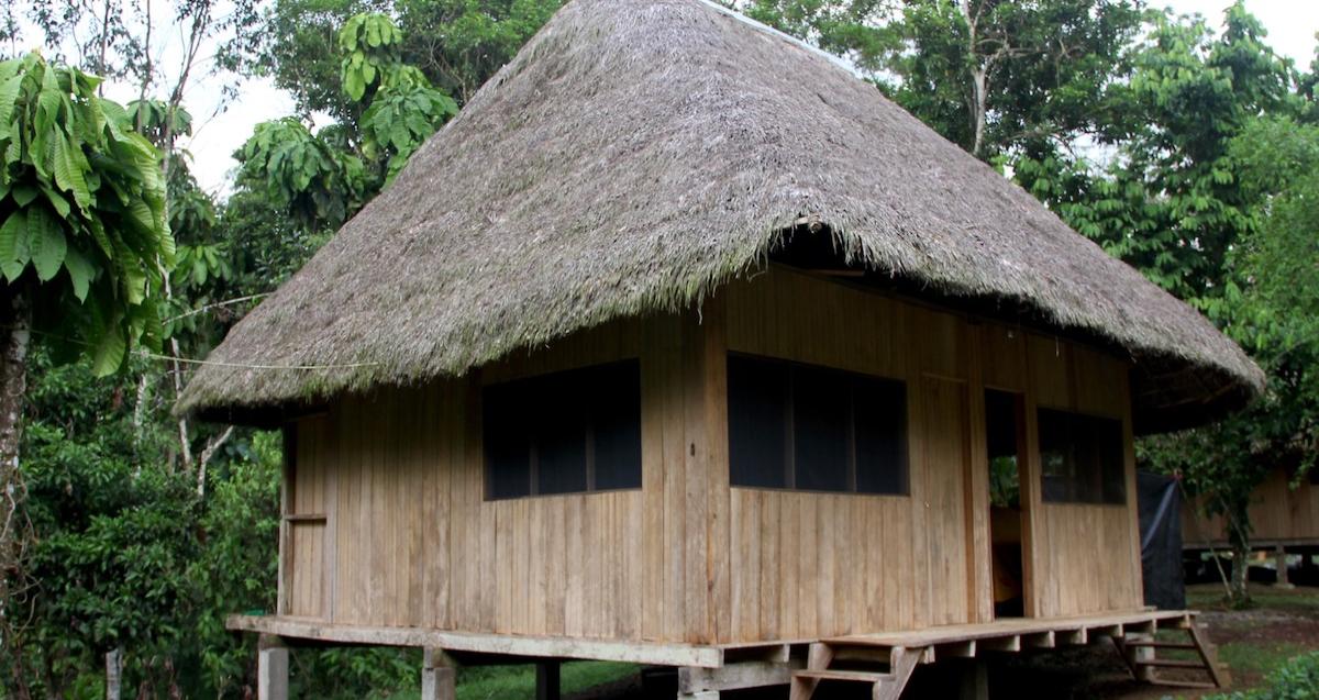 Chonta, Toquilla Y Pambil, Son Los Materiales Usados En Las Casas De ...