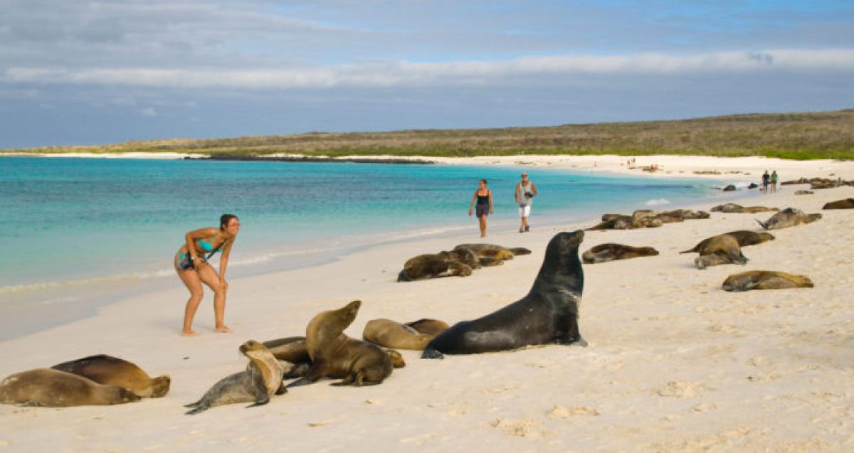 Galápagos Cumple 40 Años Como Primer Patrimonio Con énfasis En Conservación El Oriente Ecuador 6226